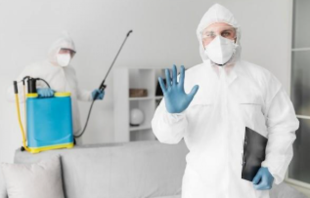 Why Choosing Locally Owned Pest Control Company Makes All Difference