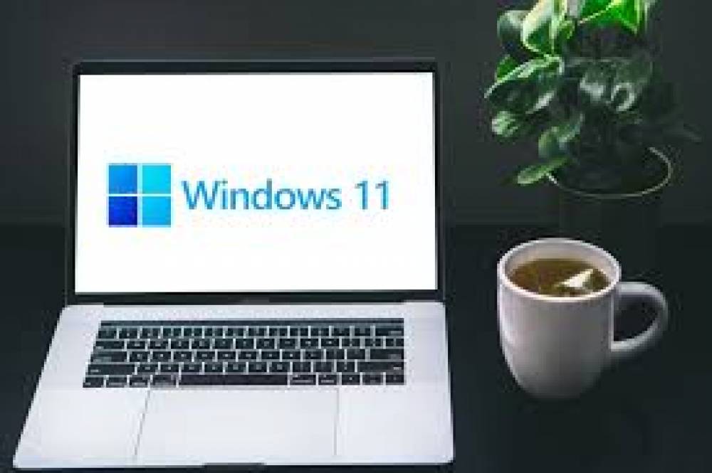How to Manually Install Graphics Drivers on Windows 11