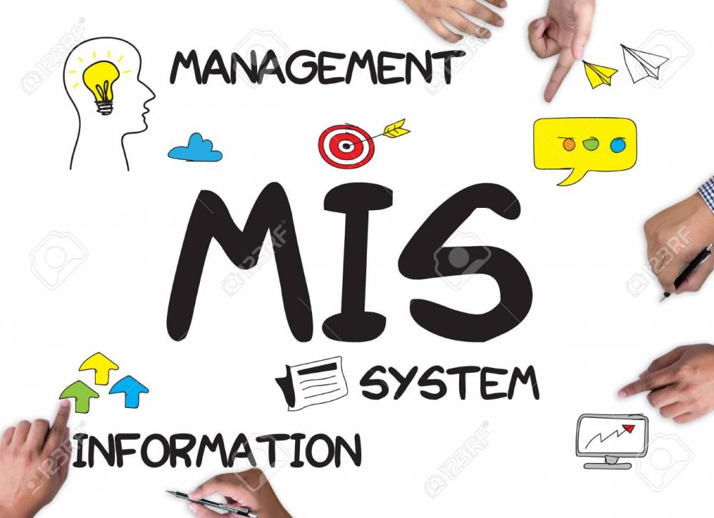 What is Management Information System (MIS)?