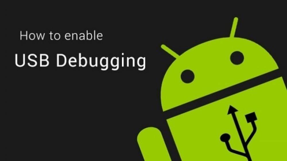 How to Enable Developer Options & USB Debugging