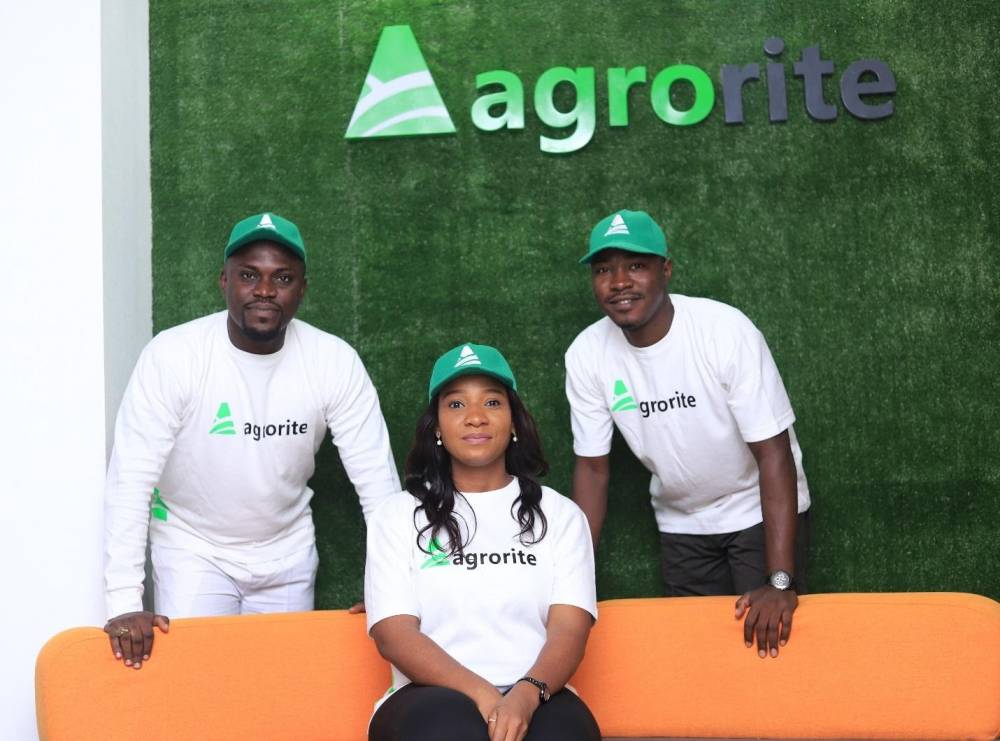 How Agrorite is creating resilience against food insecurity