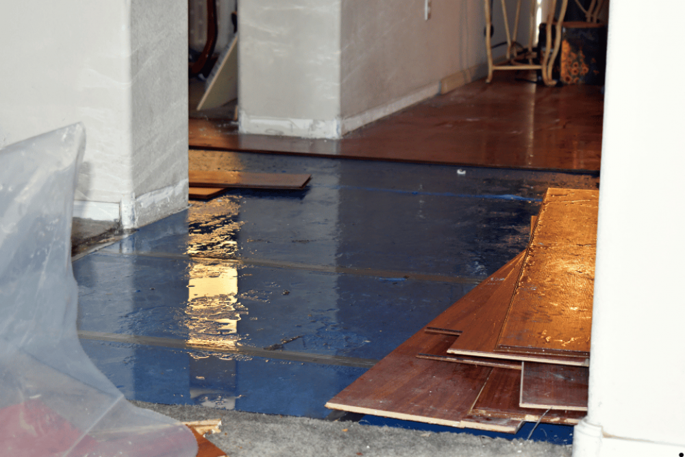 Understanding the Vital Role of Insurance Coverage in Water Damage Restoration