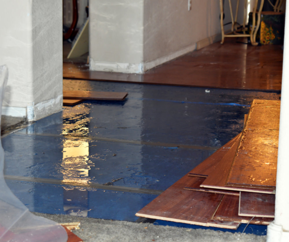 Water Mitigation: Protecting Your Home from Water Damage