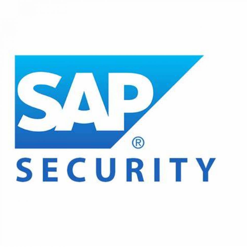 Top reasons for  choosing SAP Security