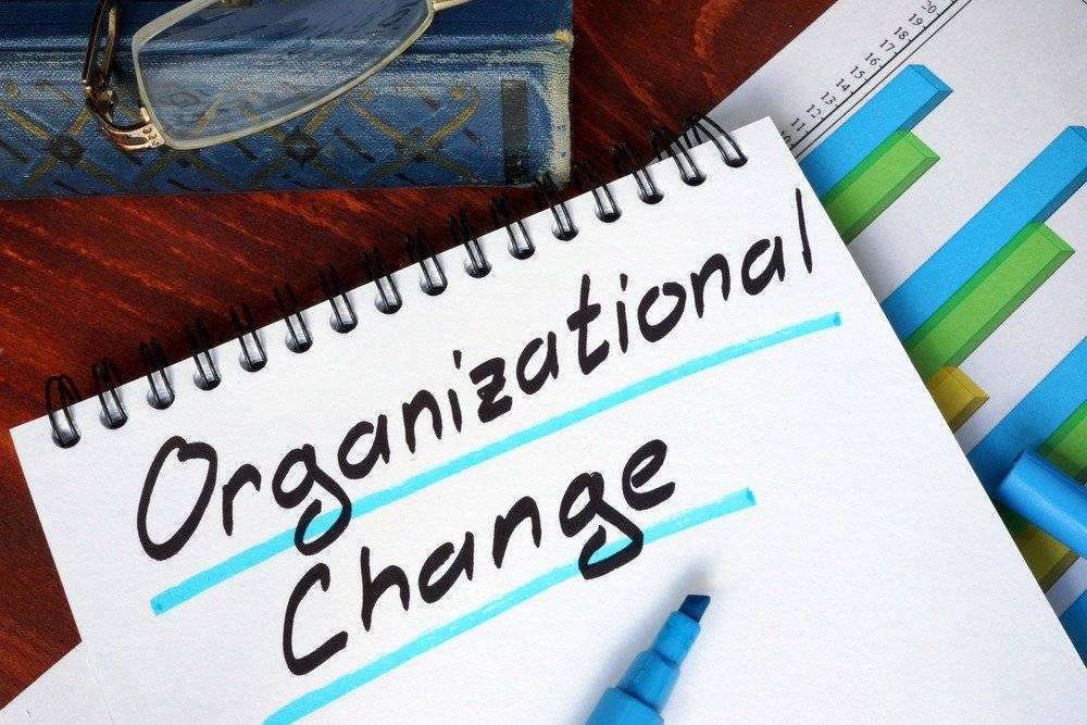 Organisational Change: How to Ensure the Success of Your Organization