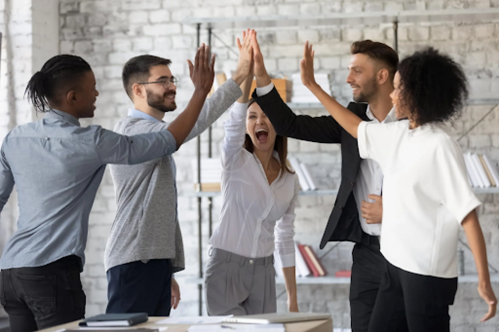 Building a Strong Company Culture with HR Support