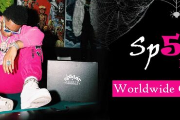 Pink Sp5der Hoodie