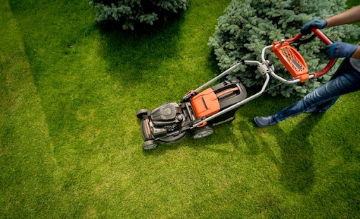 10 Signs It's Time to Call in Professional Garden Maintenance Services in Cairns